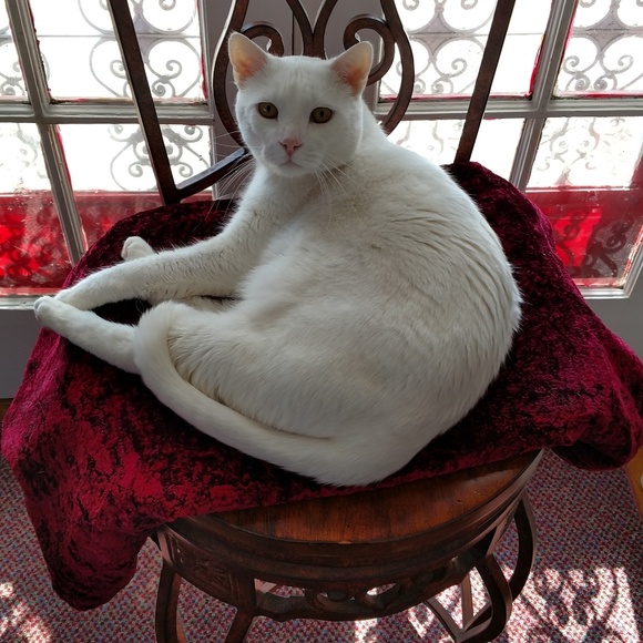 Welcome to our closet. - Picture 3 of 9